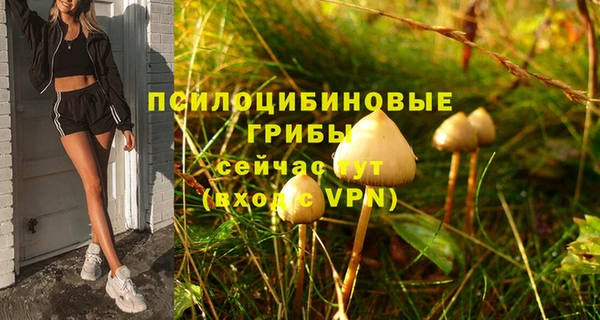 а пвп мука Абаза