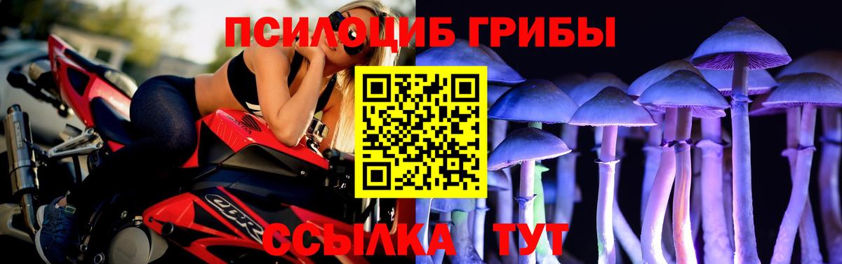Дятьково  закладка  Галлюциногенные грибы MAGIC MUSHROOMS  Вход с VPN  Галлюциногенные грибы прущие грибы 